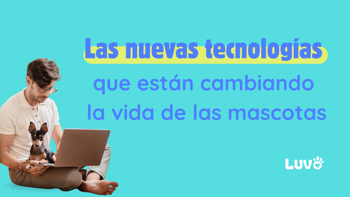 Las nuevas tecnologías que están cambiando la vida de las mascotas