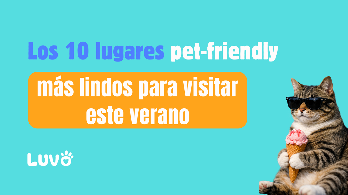 Los 10 lugares pet-friendly más lindos para visitar este verano en Argentina