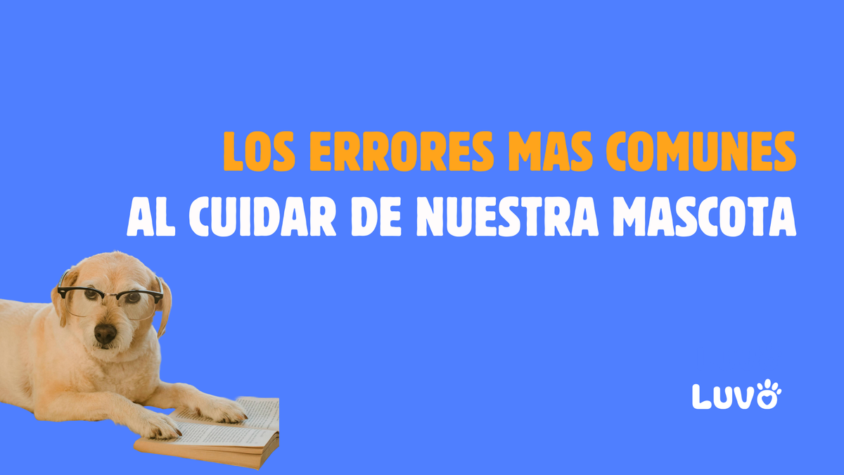 Los 5 errores más comunes que cometemos al cuidar a nuestras mascotas