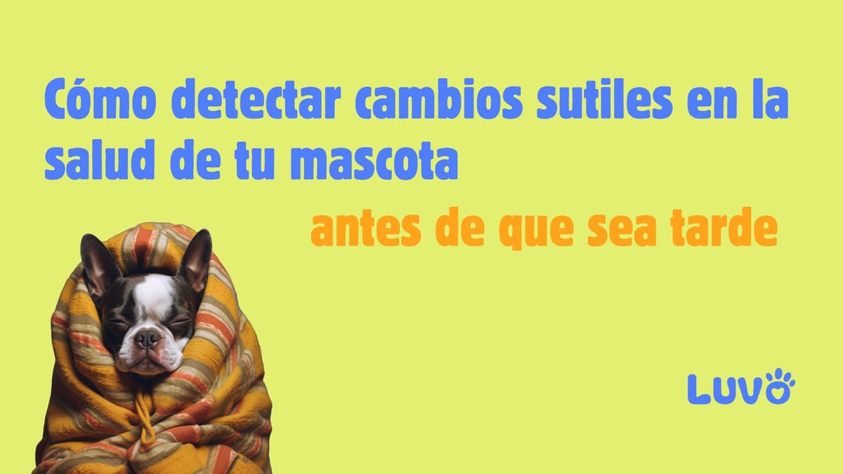 Cómo detectar cambios sutiles en la salud de tu mascota antes de que sea tarde