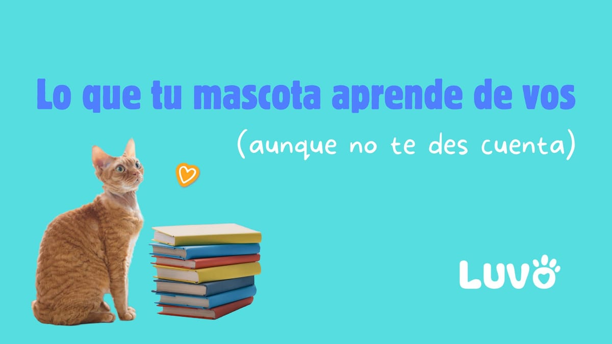 Lo que tu mascota aprende de vos (aunque no te des cuenta)