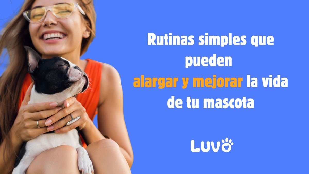 Rutinas simples que pueden alargar y mejorar la vida de tu mascota