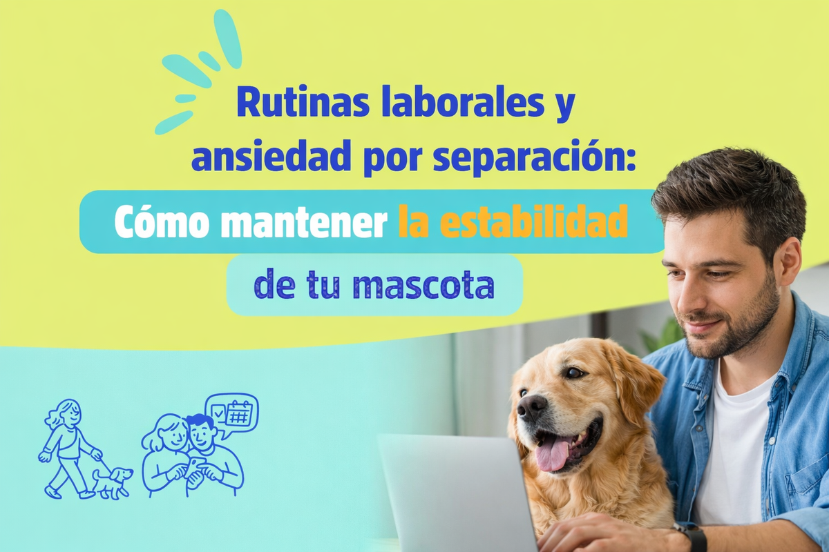 Rutinas laborales y ansiedad por separación: cómo mantener la estabilidad de tu mascota