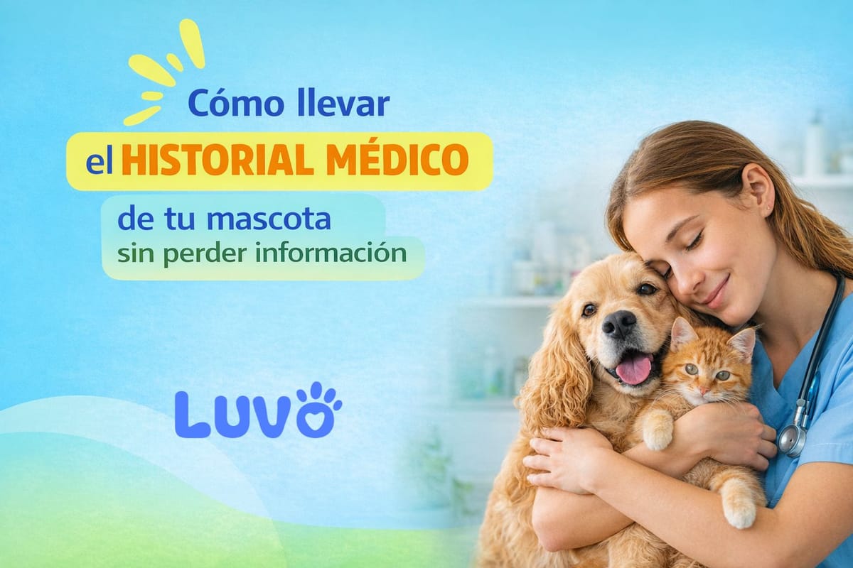 Cómo llevar el historial médico de tu mascota sin perder información