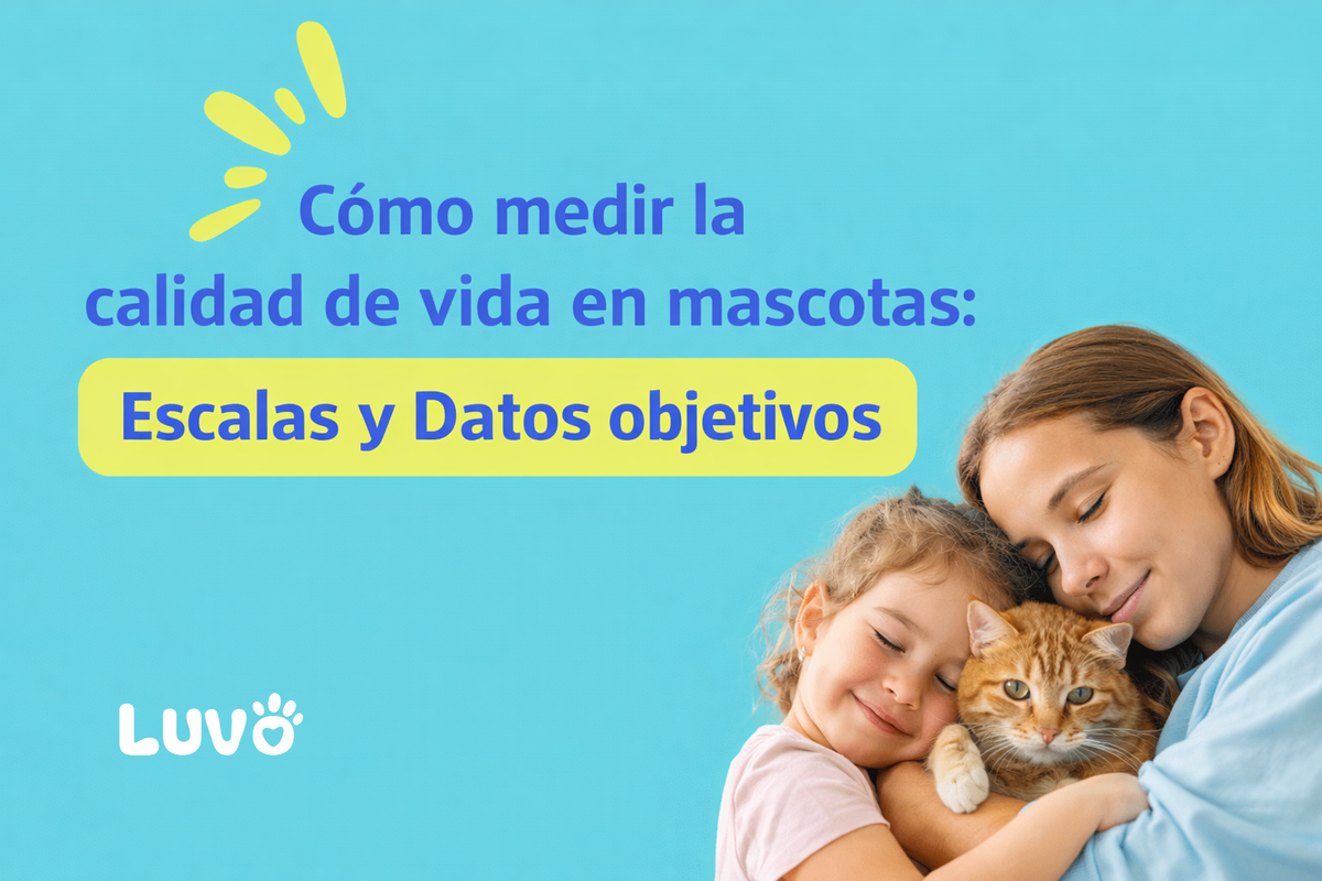 Cómo medir la calidad de vida en mascotas: escalas y datos objetivos