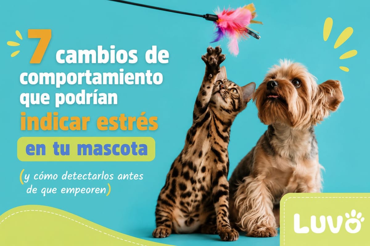 7 cambios de comportamiento que podrían indicar estrés en tu mascota (y cómo detectarlos antes de que empeoren)