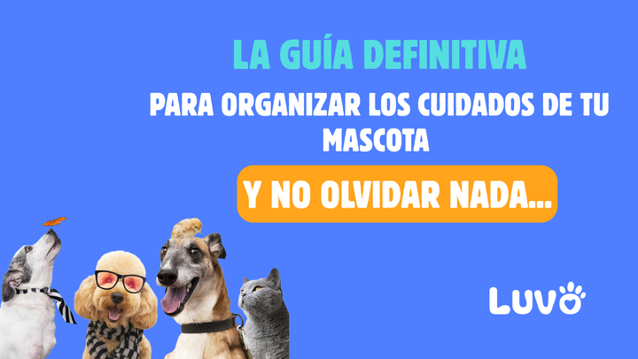 La guía definitiva para organizar los cuidados de tu mascota (y no olvidar nada)