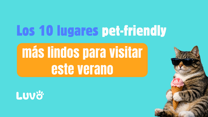 Los 10 lugares pet-friendly más lindos para visitar este verano en Argentina
