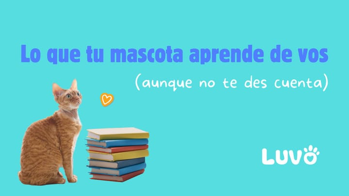 Lo que tu mascota aprende de vos (aunque no te des cuenta)