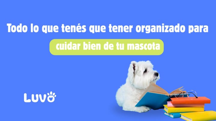 Todo lo que tenés que tener organizado para cuidar bien de tu mascota