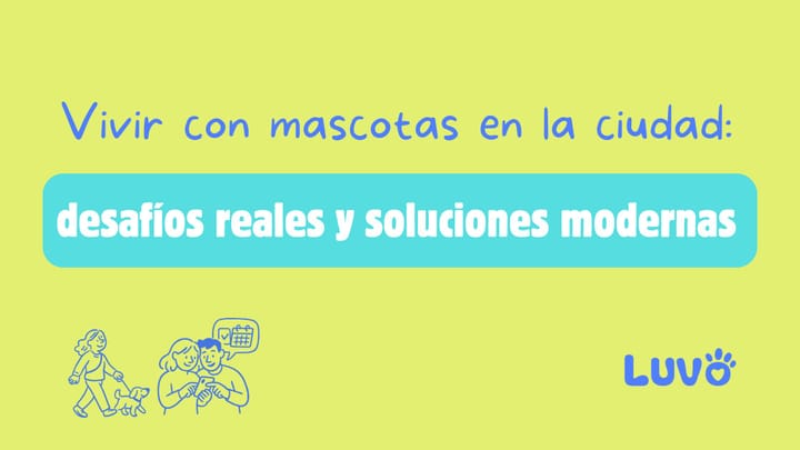 Vivir con mascotas en la ciudad: desafíos reales y soluciones modernas