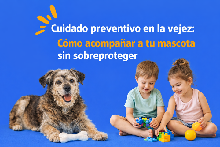 Cuidado preventivo en la vejez: cómo acompañar a tu mascota sin sobreproteger