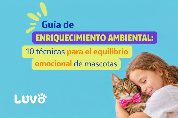 Guía de enriquecimiento ambiental: 10 técnicas para el equilibrio emocional de mascotas