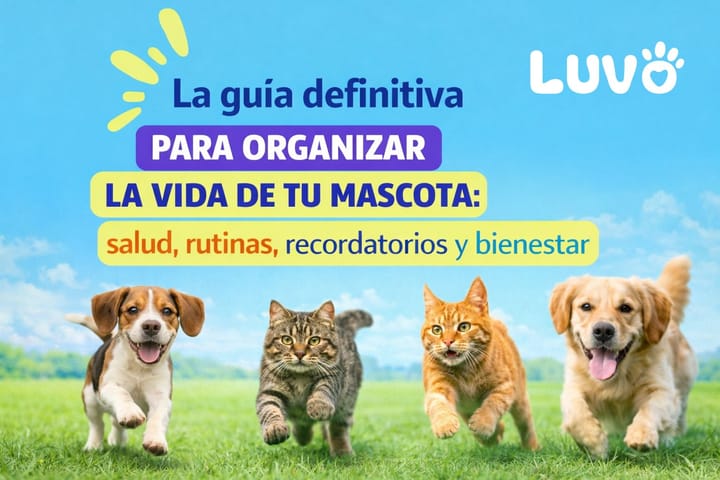 La guía definitiva para organizar la vida de tu mascota: salud, rutinas, recordatorios y bienestar