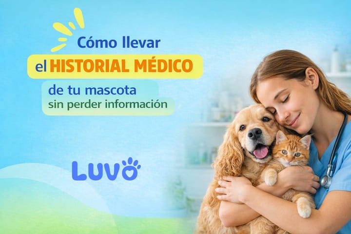 Cómo llevar el historial médico de tu mascota sin perder información