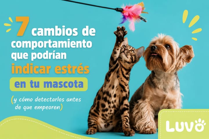 7 cambios de comportamiento que podrían indicar estrés en tu mascota (y cómo detectarlos antes de que empeoren)