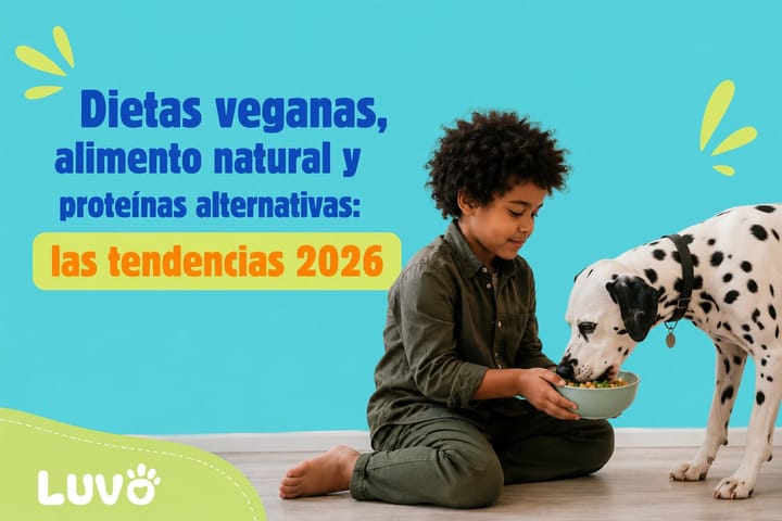 Dietas veganas, alimento natural y proteinas alternativas: las tendencias en alimentacion para mascotas que marcan 2026