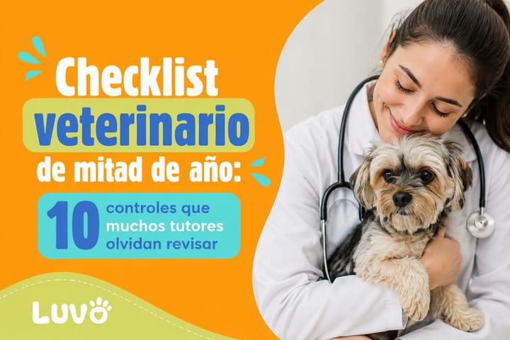 Checklist veterinario de mitad de año: 10 controles que muchos tutores olvidan revisar